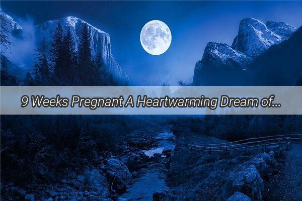 9 Weeks Pregnant A Heartwarming Dream of My Babys First Kick  A Journey into the Wonders of Motherhood